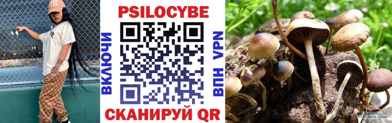 Галлюциногенные грибы Cubensis  OMG ССЫЛКА  Заволжье 